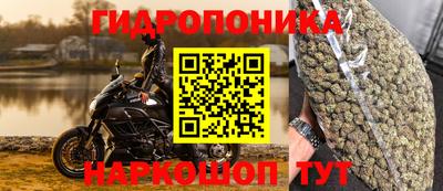 амф Коломна